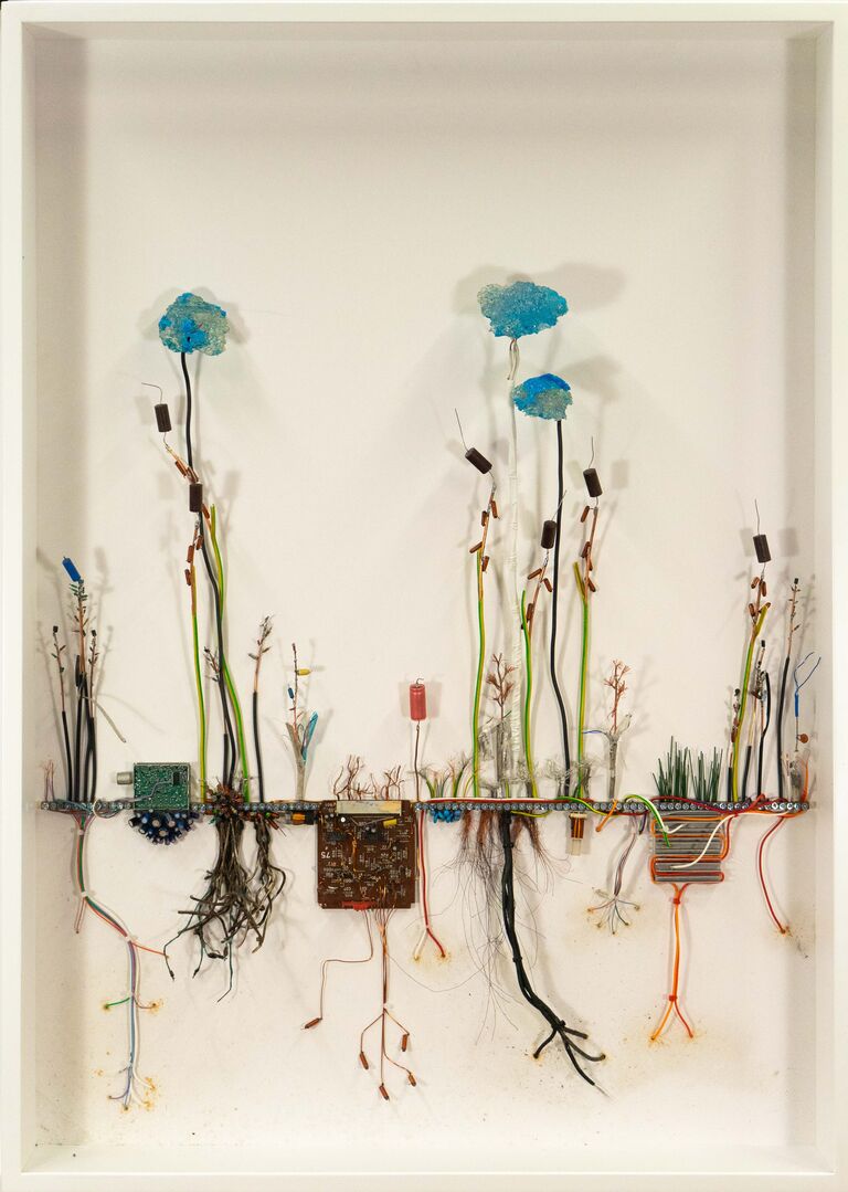 Krištof Kintera - Postnaturalia