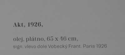  / Akt / František Vobecký