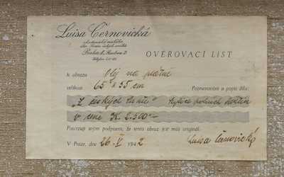  / Z českých luhů / Luisa Černovická