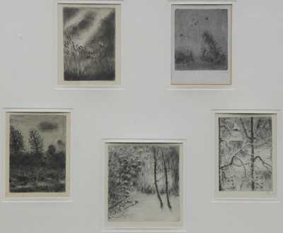  / Konvolut pěti suchých jehel / Bohuslav Reynek