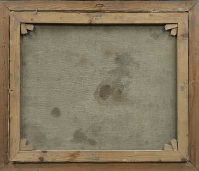  / Pohled na Pražský hrad / Alois Vladislav Vraný