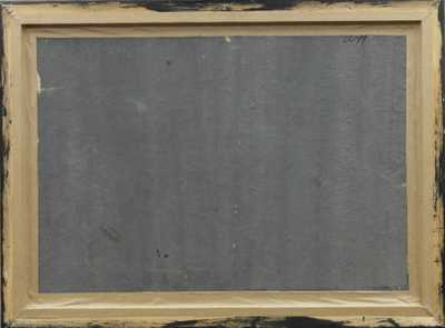  / Říčka / Václav F. Ulšmíd