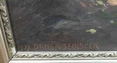  / Slunce v lese / František Daněk - Sedláček