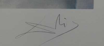  / Akt / Salvador Dalí