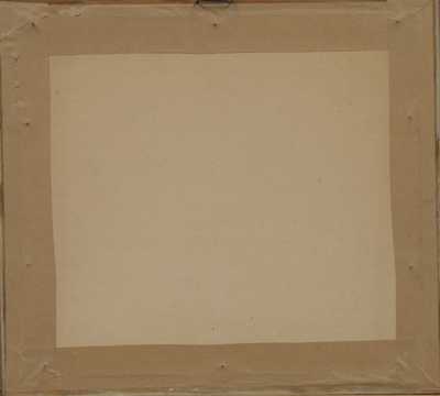  / Zapadané chaloupky / Jaroslav Panuška