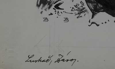  / Závoj str. 229 / Zdeněk Burian