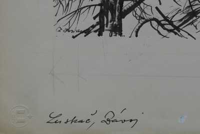  / Závoj str. 289 / Zdeněk Burian