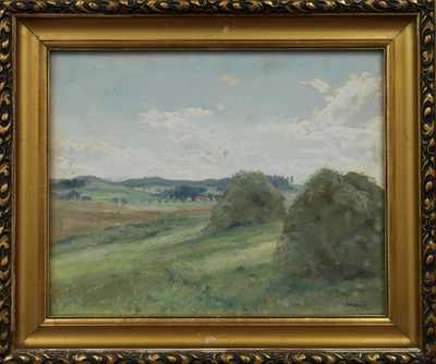 František Škrabánek - Senoseč