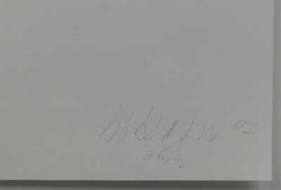  / Linie / Zdeněk Sýkora