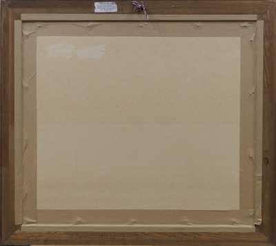  / Jana / Ota Janeček