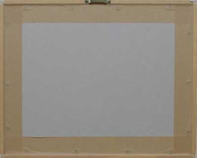  / Asteroid / František  Hudeček