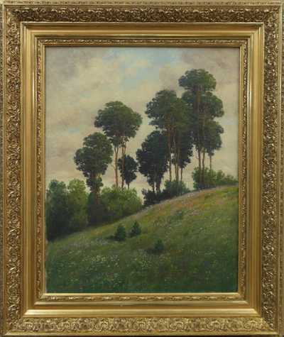 Wilhelmine Auguste Reichelt - Rozkvetlá stráň