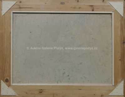  / Před domem / Alfréd Justitz