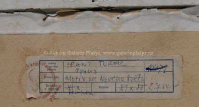  / Motiv od Nového Světa / František  Turek