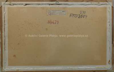  / Motiv od Nového Světa / František  Turek