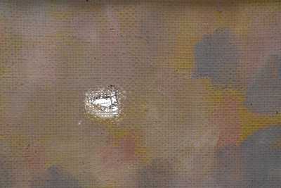  / Pod keřem / Josef Fiala