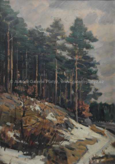  / Borovice / Josef Procházka