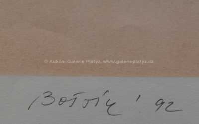  / Kruhová mlhovina /  