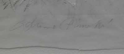  / Hlava / Adriena Šimotová