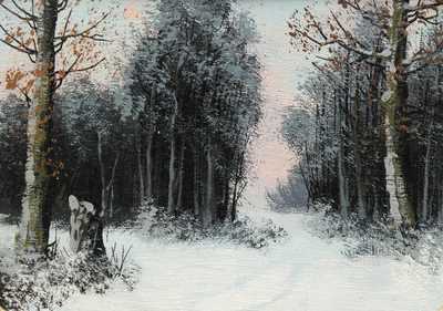  / Zimní les / Antonín Waldhauser 