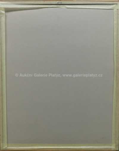  / Dívka / Josef Liesler