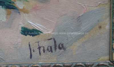  / Na návsi / Josef Fiala