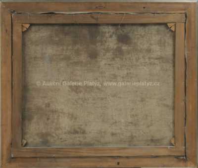  / Trosky / Karel Petrbauer