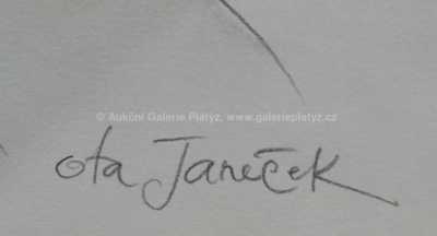  / Hlava dívky / Ota Janeček