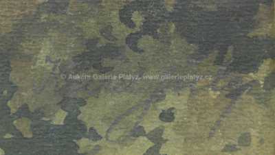  / Pražský hrad / Karel Šulc