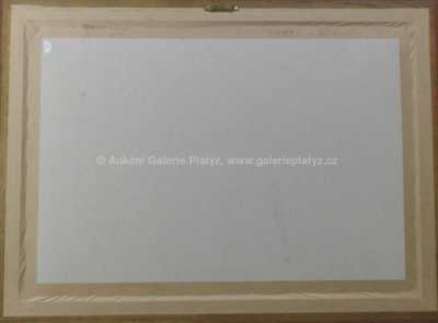  / Pražský hrad / Karel Šulc