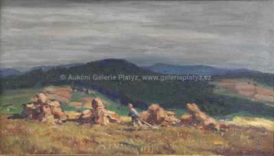  / U Mladé Vožice / Ota Bubeníček