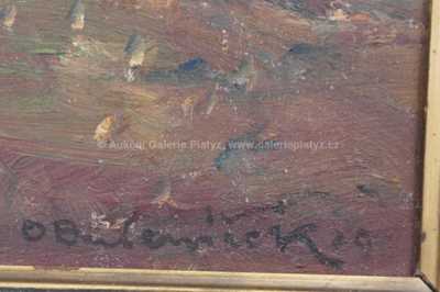  / U Mladé Vožice / Ota Bubeníček