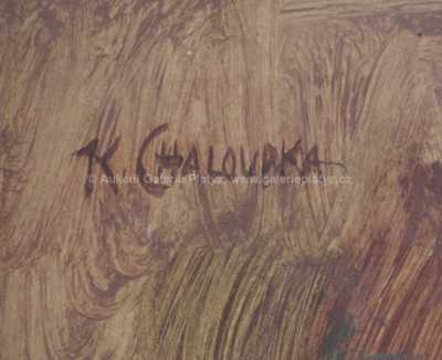  / S harmonikou / Karel Chaloupka