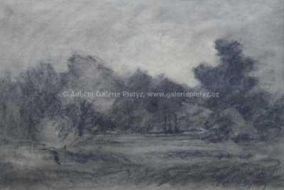  / Studie přírody / Zoltán (Zolo) Palugyay