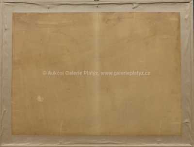  / Studie přírody / Zoltán (Zolo) Palugyay