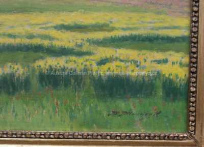  / Rozkvetlá louka / Rudolf Hlaváček