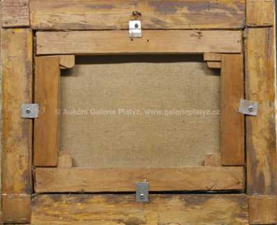  / Rozkvetlá louka / Rudolf Hlaváček