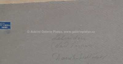  / Letní den  / František Daněk - Sedláček