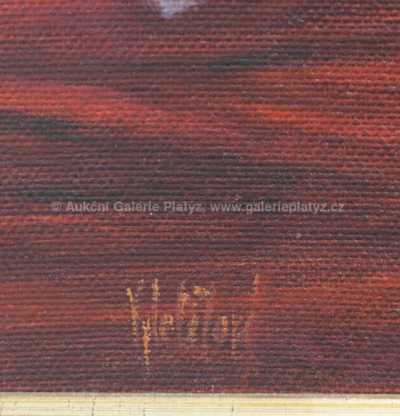  / Hra v červeném údolí / Olga Vyleťalová - Poláčková