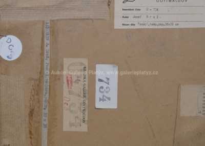  / Pasáci / Josef Brož