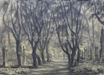  / Alej /   Autor neurčen