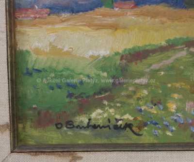  / Léto u rybníka / Ota Bubeníček