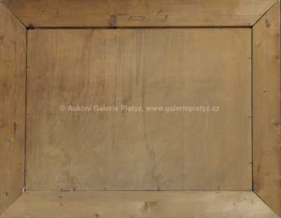  / Lekníny na rybníce / Otakar Hůrka