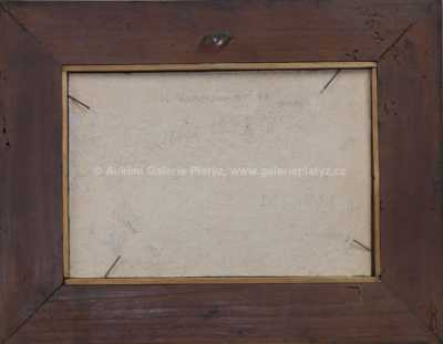  / Předměstí (Za Vinohrady) / Kamil Lhoták