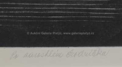  / Po zarostlém chodníčku / Věra Sedláková