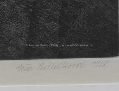  / Po zarostlém chodníčku / Věra Sedláková