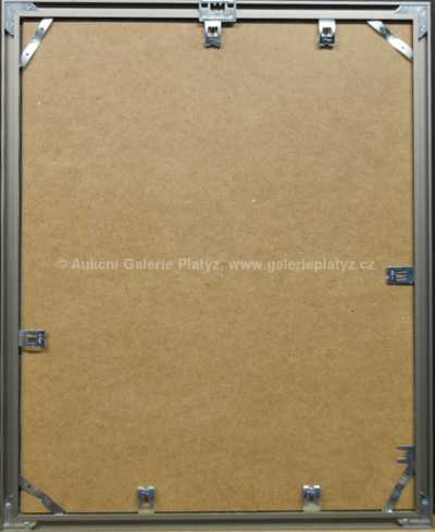  / Janáčkovo kvarteto / Zdeněk Smetana