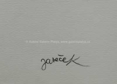  / Akt / Ota Janeček