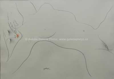  / Akt / Ota Janeček