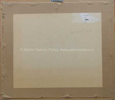  / Žďár / Ota Janeček